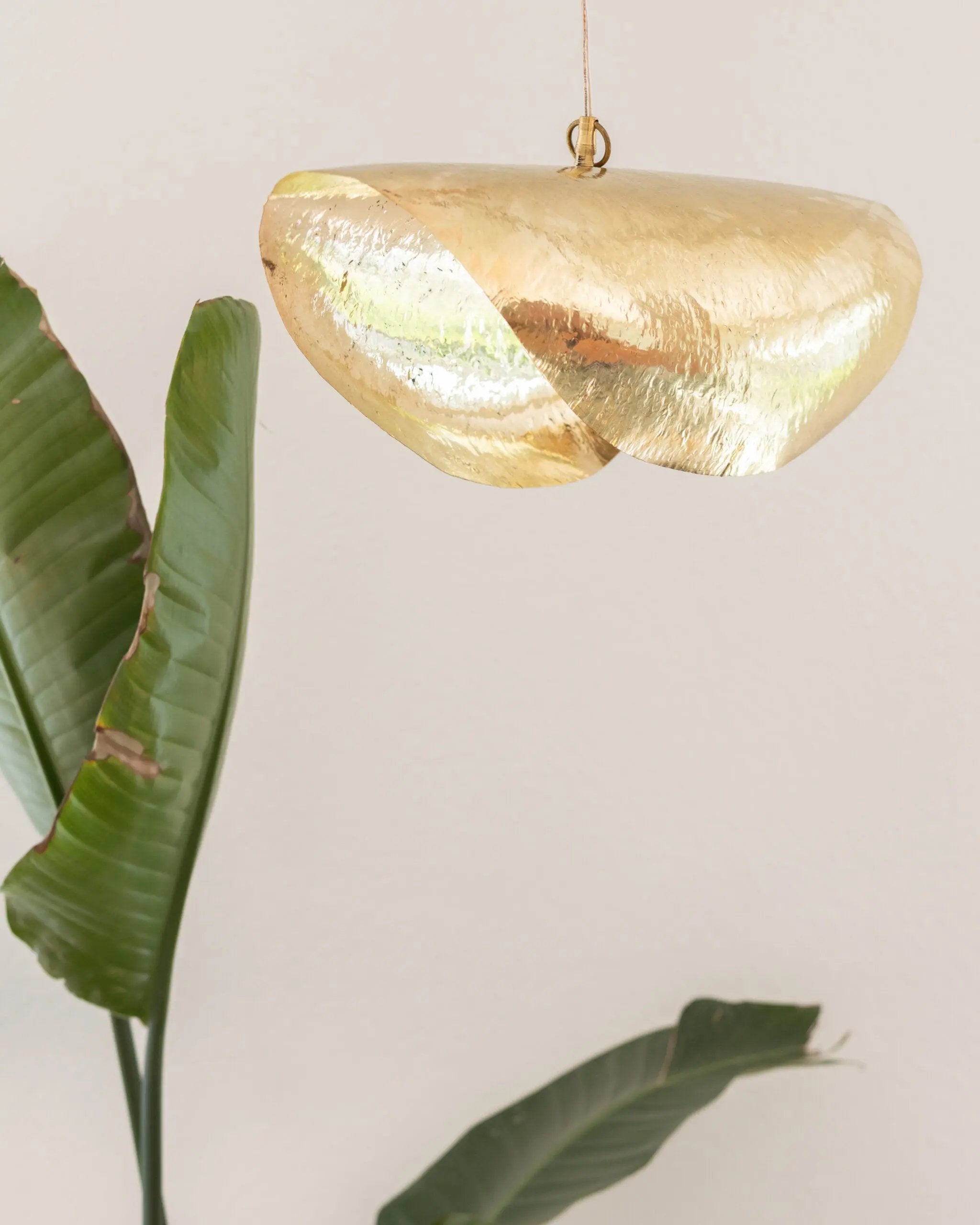 Suspension | Feuille mart FrannandCo