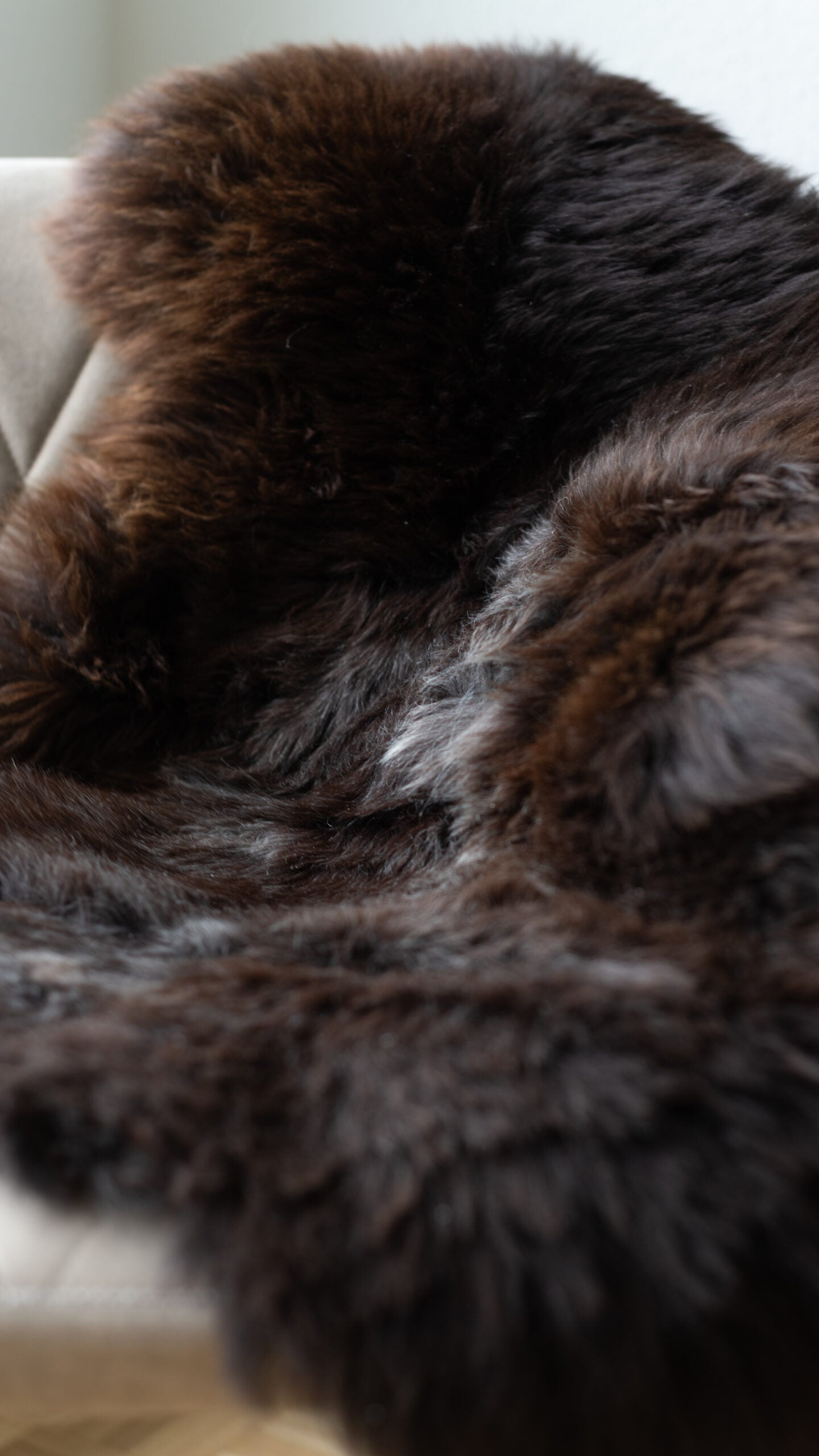 Sheep wool rug | Texel