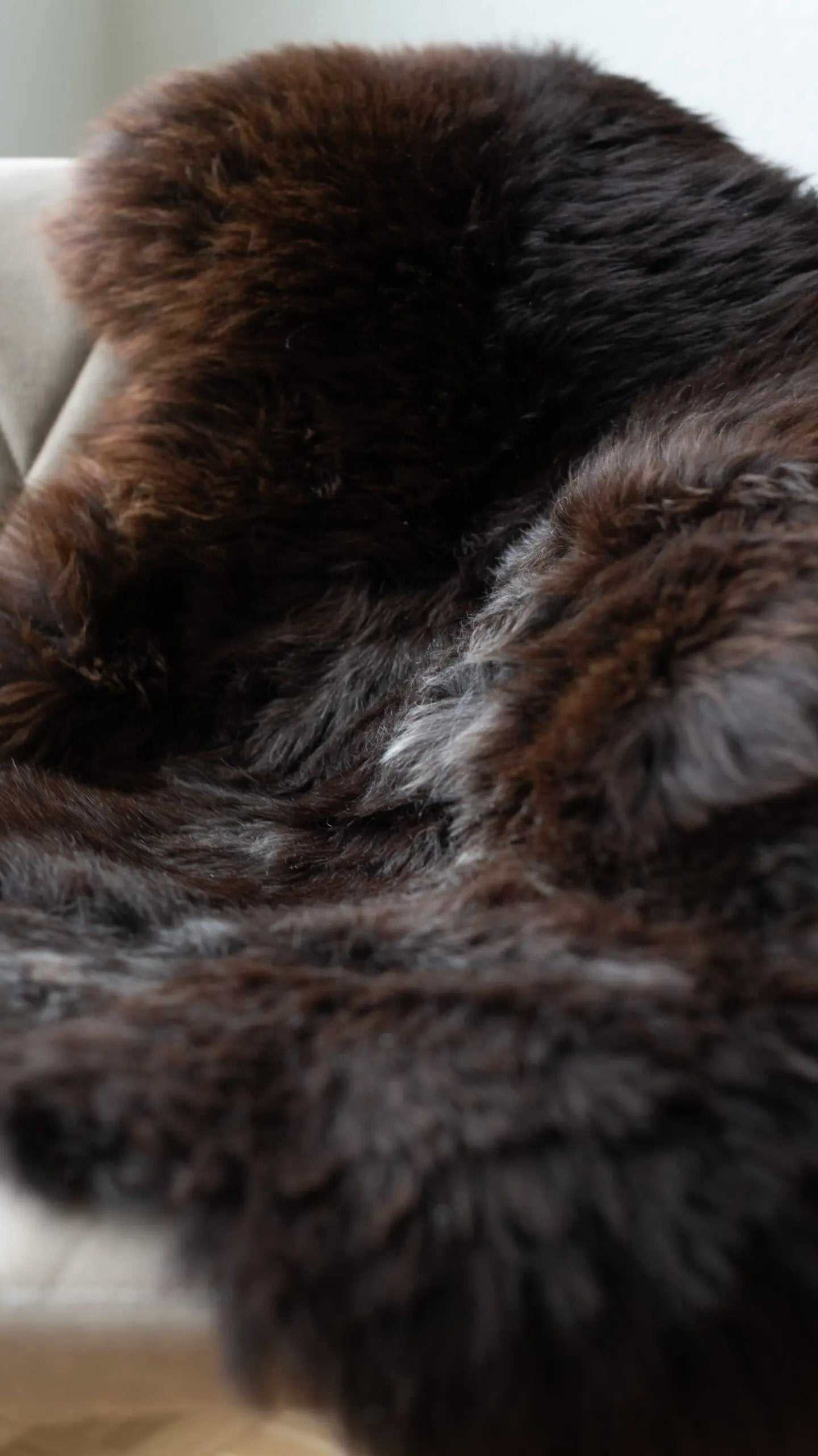 Tapis en laine de mouton | Texel Van Buren