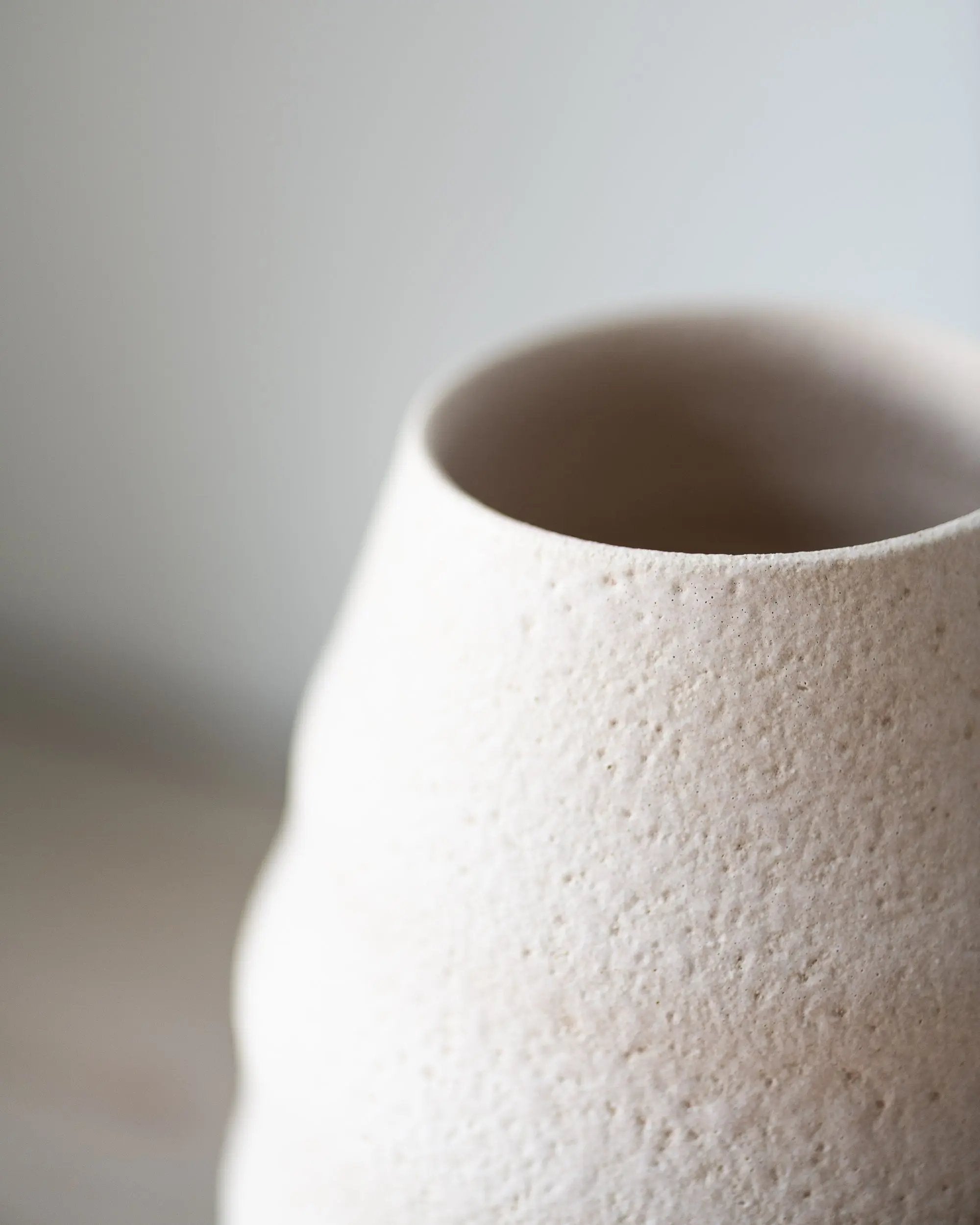 Vase | Aonia O'Cactuu