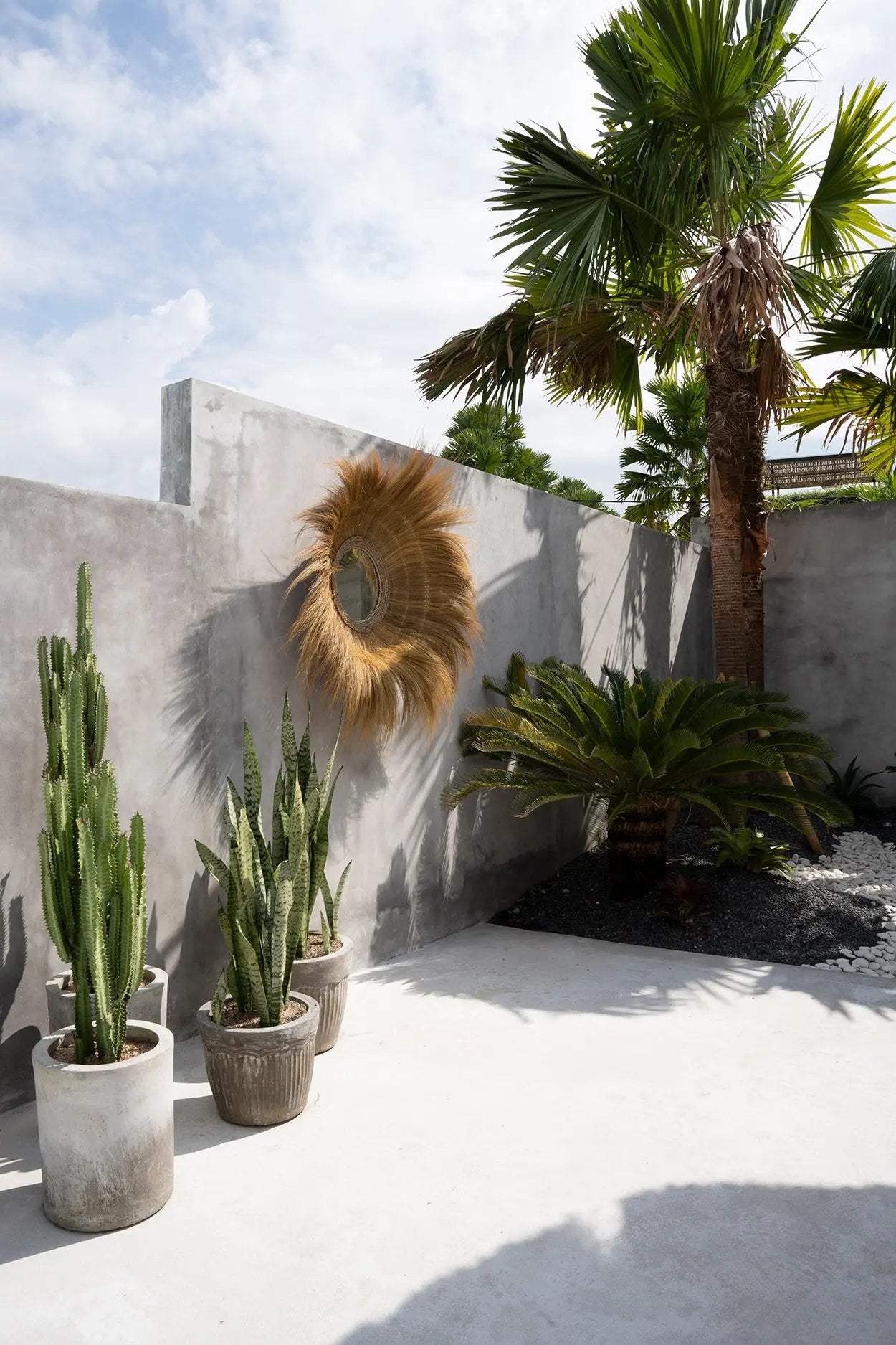 Miroir | Sunken Forest Bazar Bizar