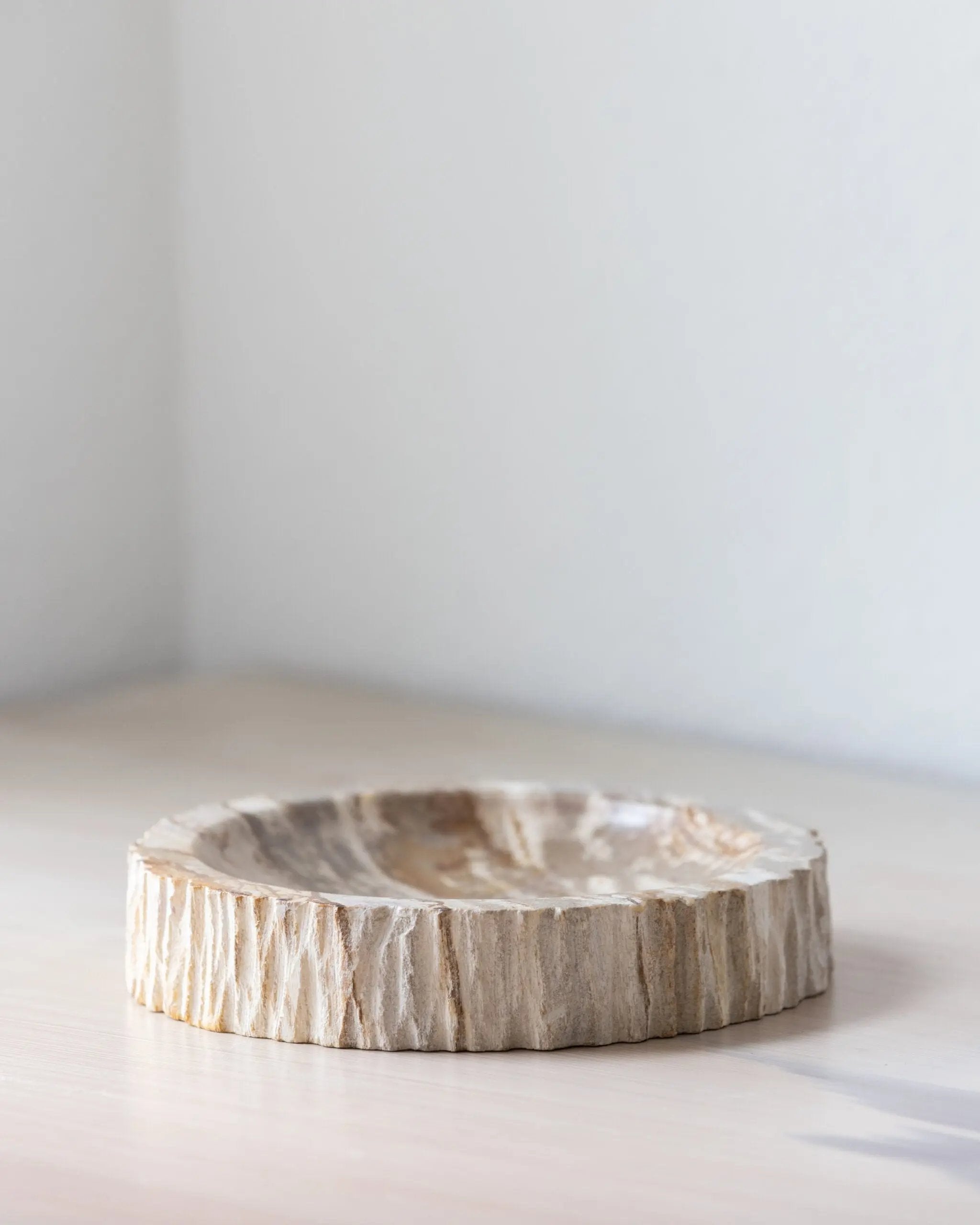 Vide Poche | Bois Pétrifié Botanical Boys