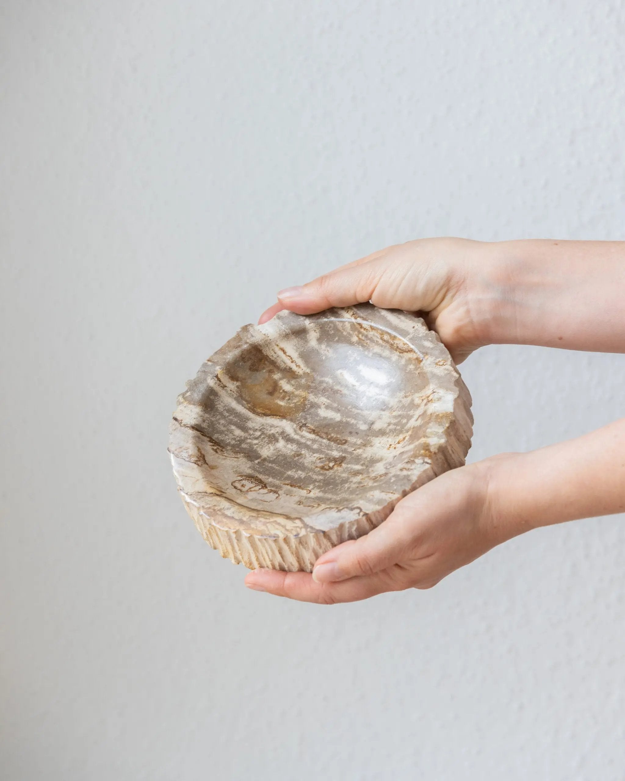 Vide Poche | Bois Pétrifié Botanical Boys