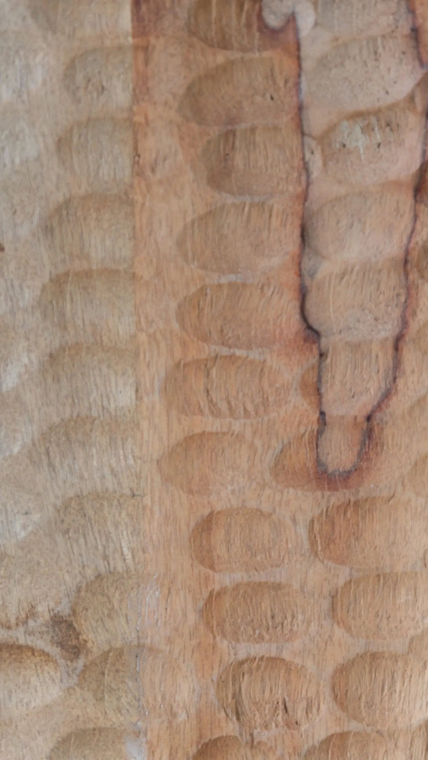 Plateau en bois | Selina Euphoric