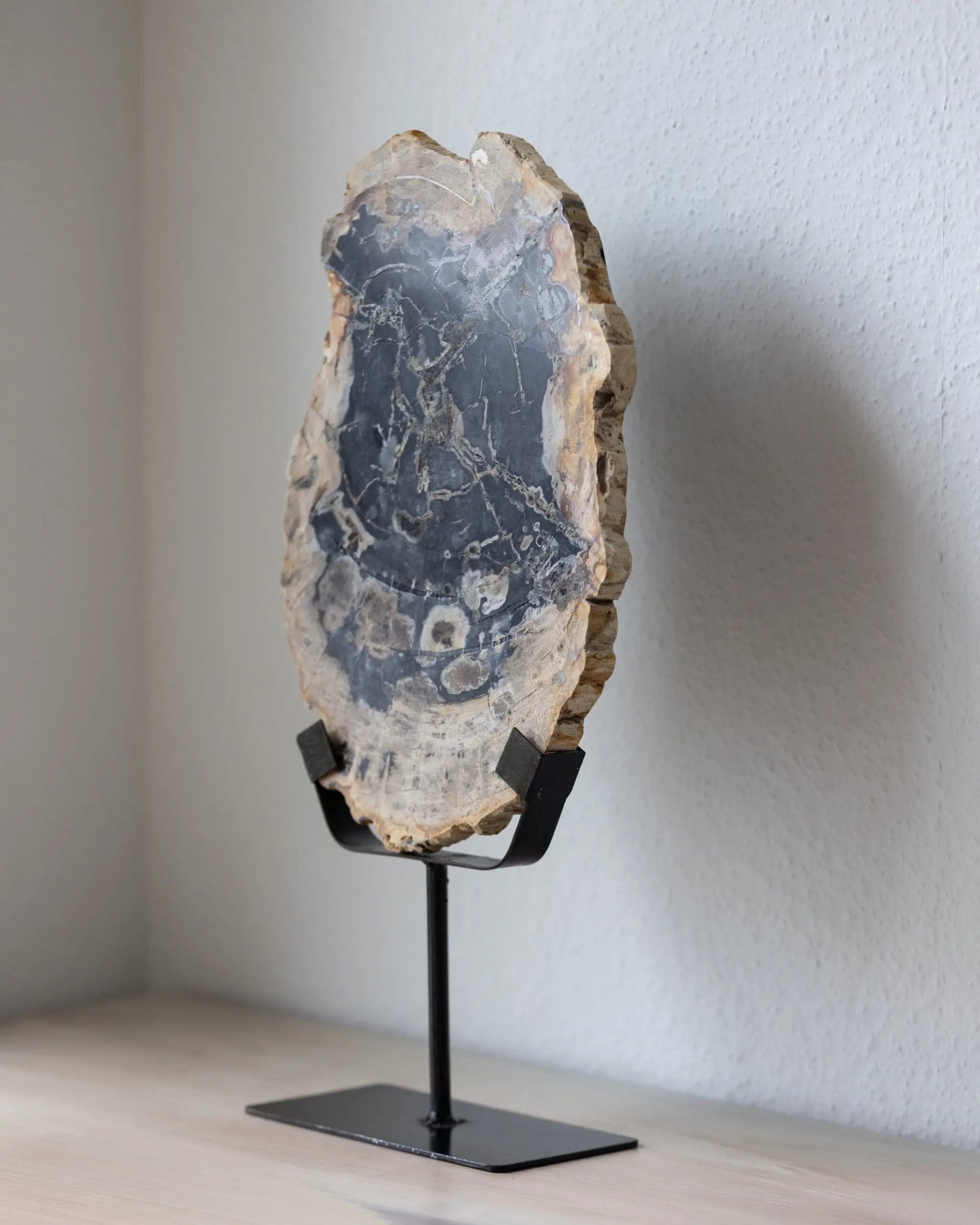 Sculpture | Bois Pétrifié - n°01 Botanical Boys