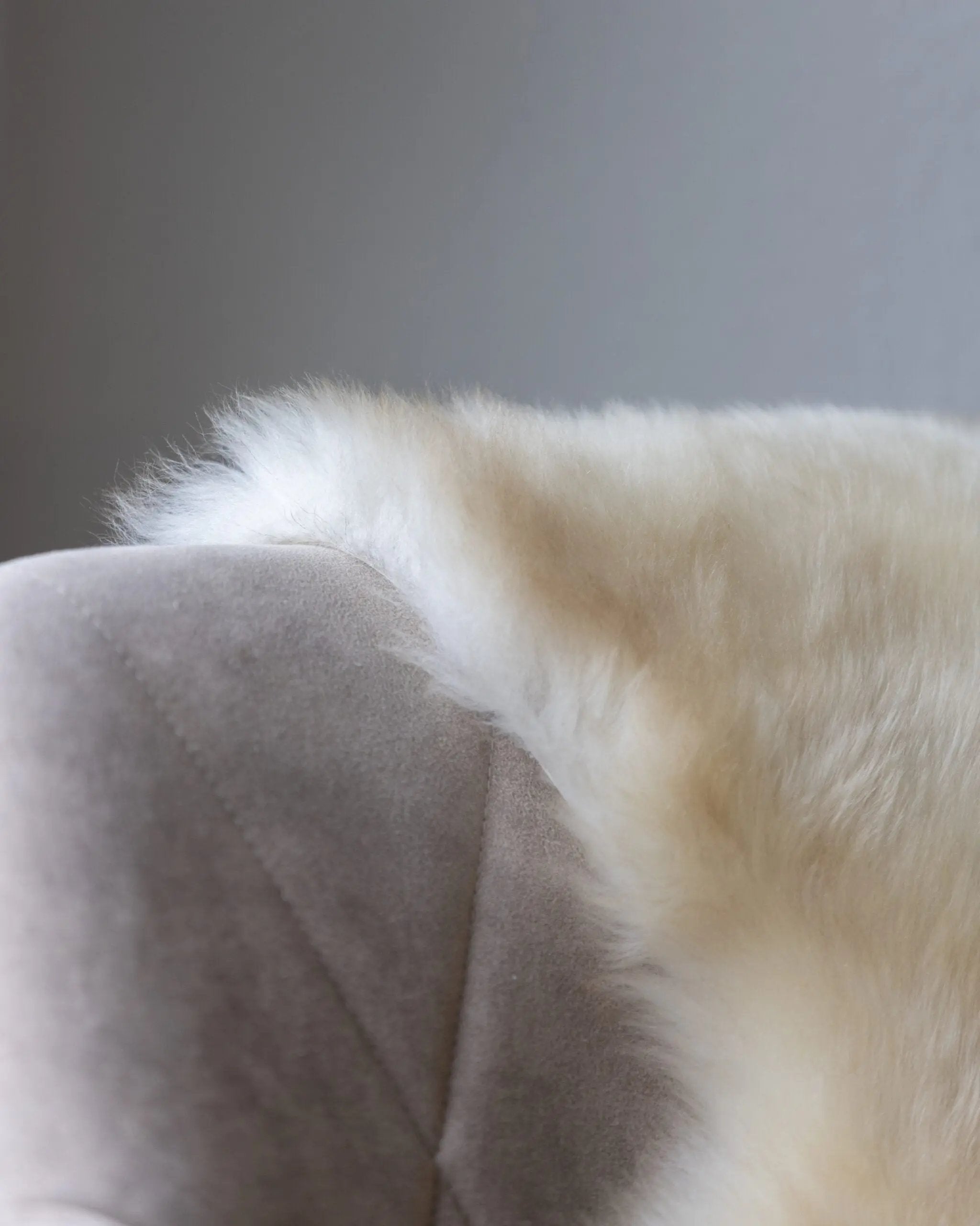 Tapis en laine de mouton | Texel Van Buren