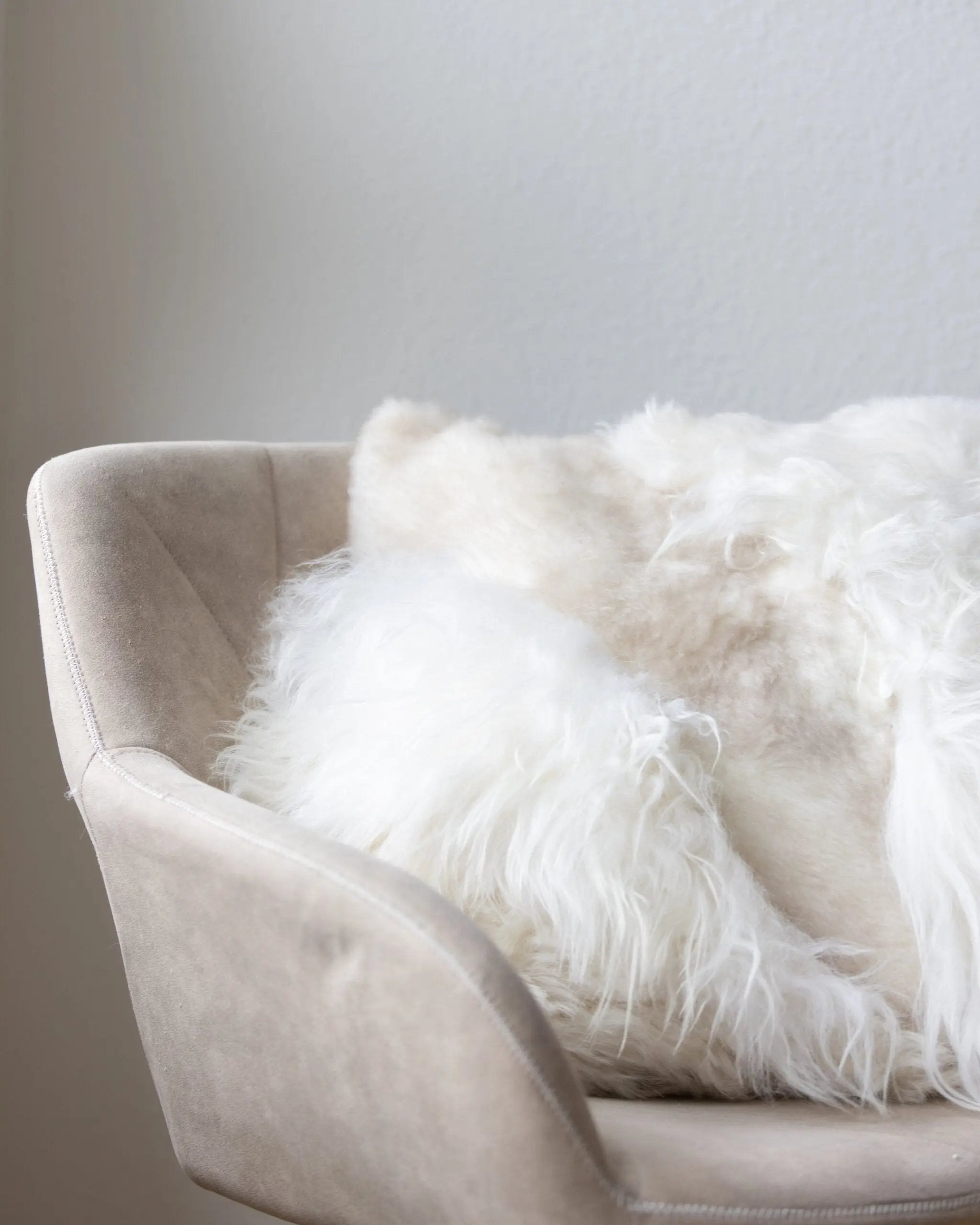 Coussin en laine de Mouton | Mélange de laine Van Buren