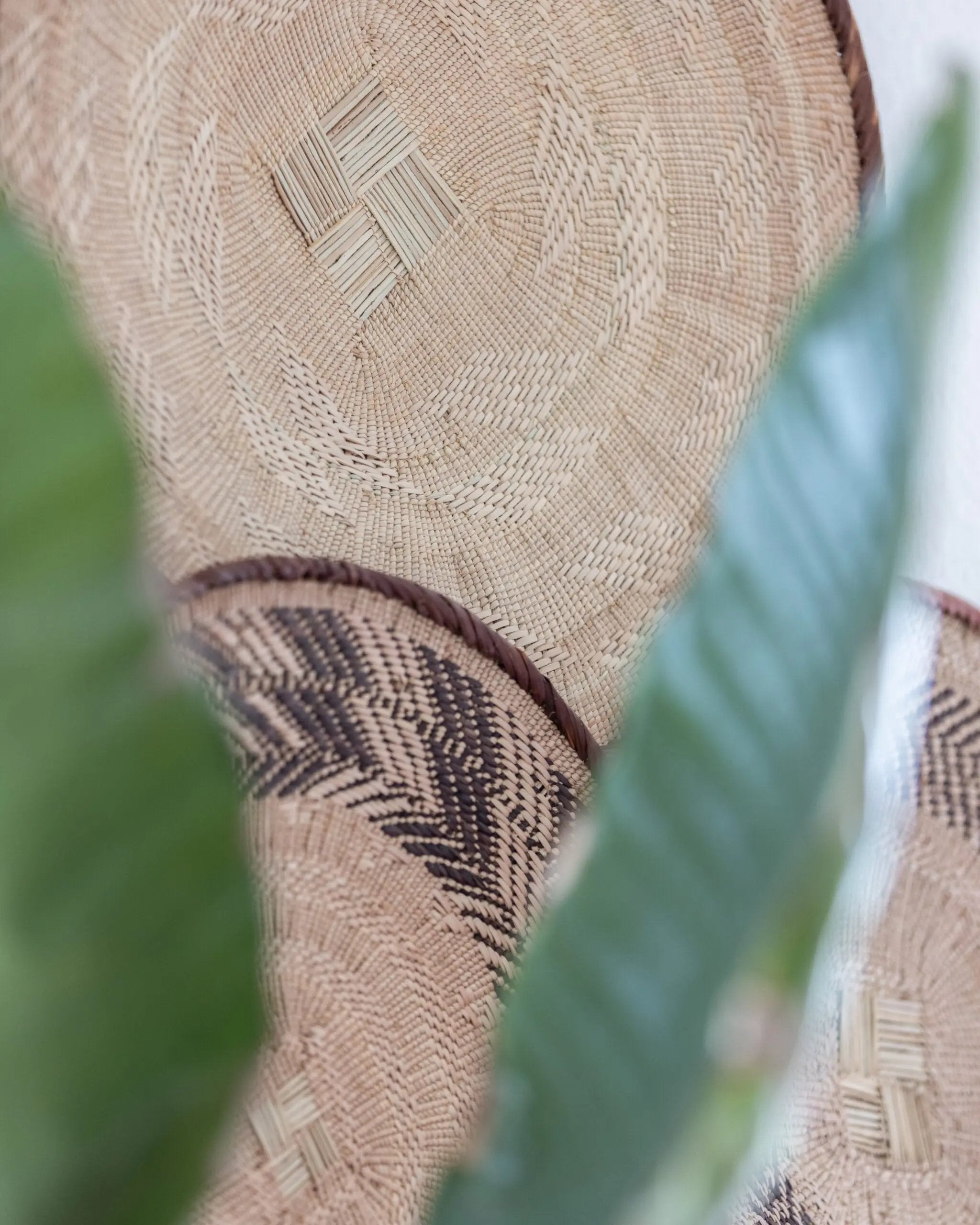 Panier Mural | Tonga - lot de 3 n°02 Botanical Boys