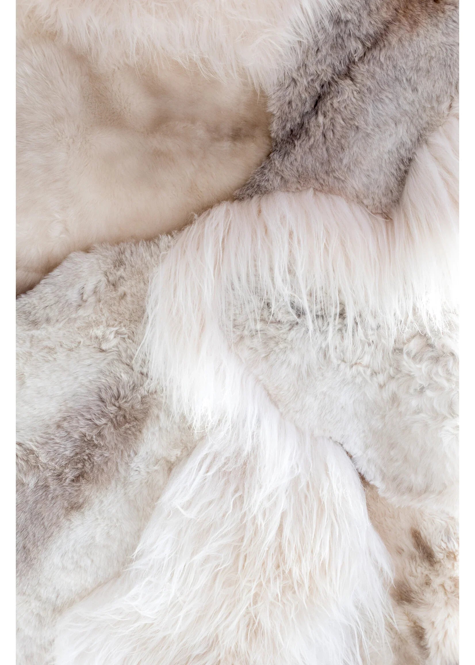 Tapis