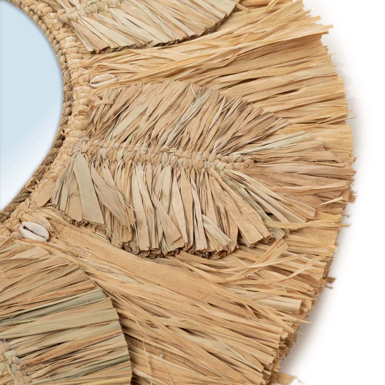 Mirror | Palm Tree