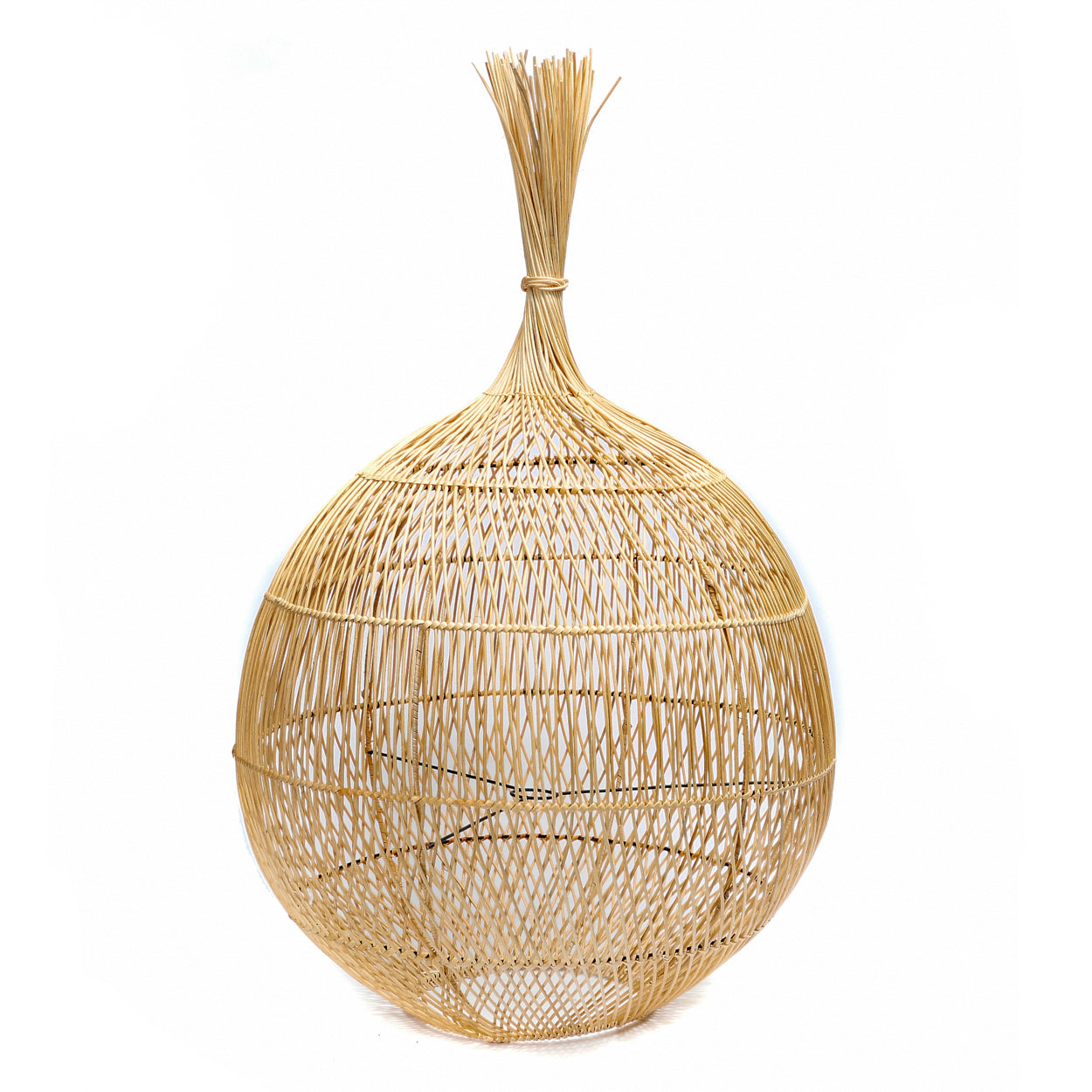 Lampshade | Wonton
