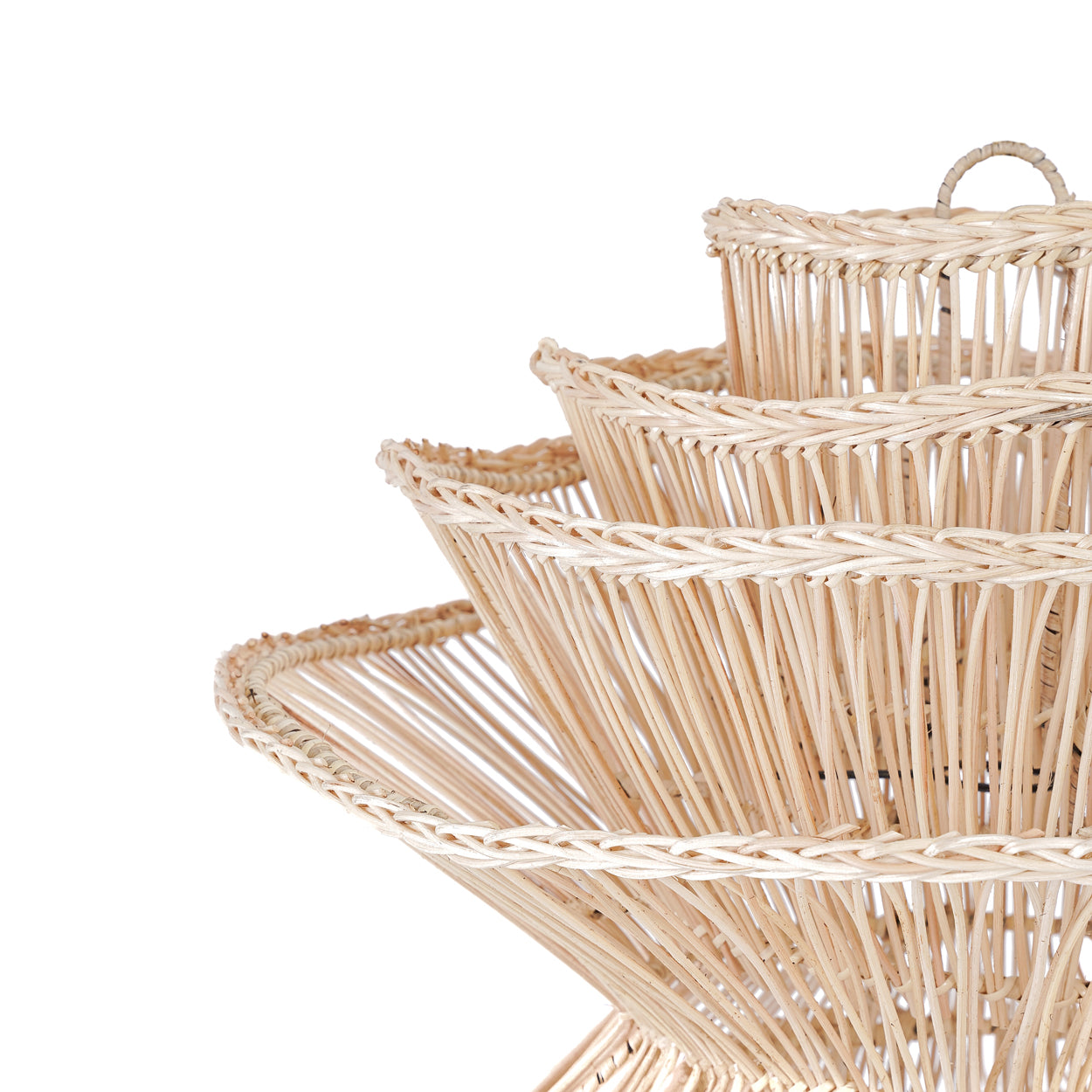 Lampshade | Shiitake