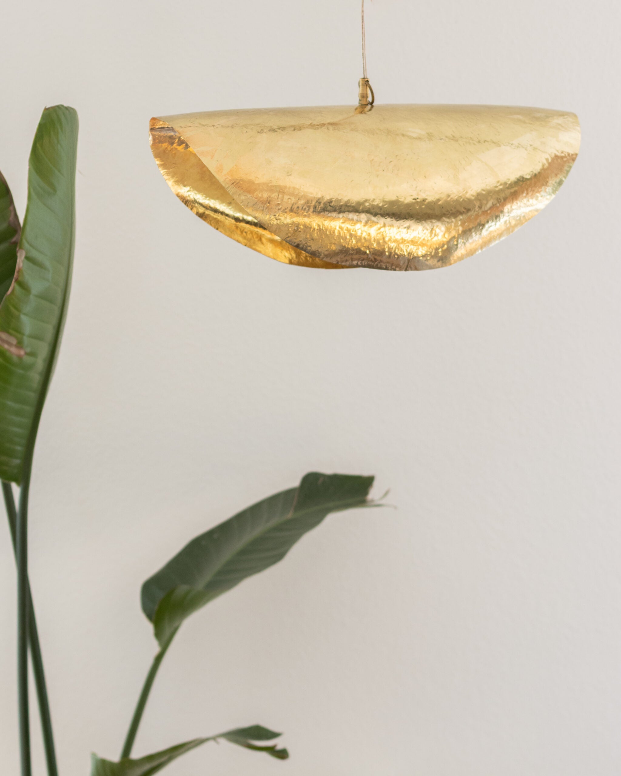 Suspension | Leaf mart