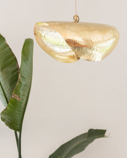 Suspension | Leaf mart
