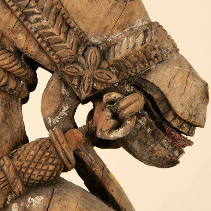 Ashva détail du mords