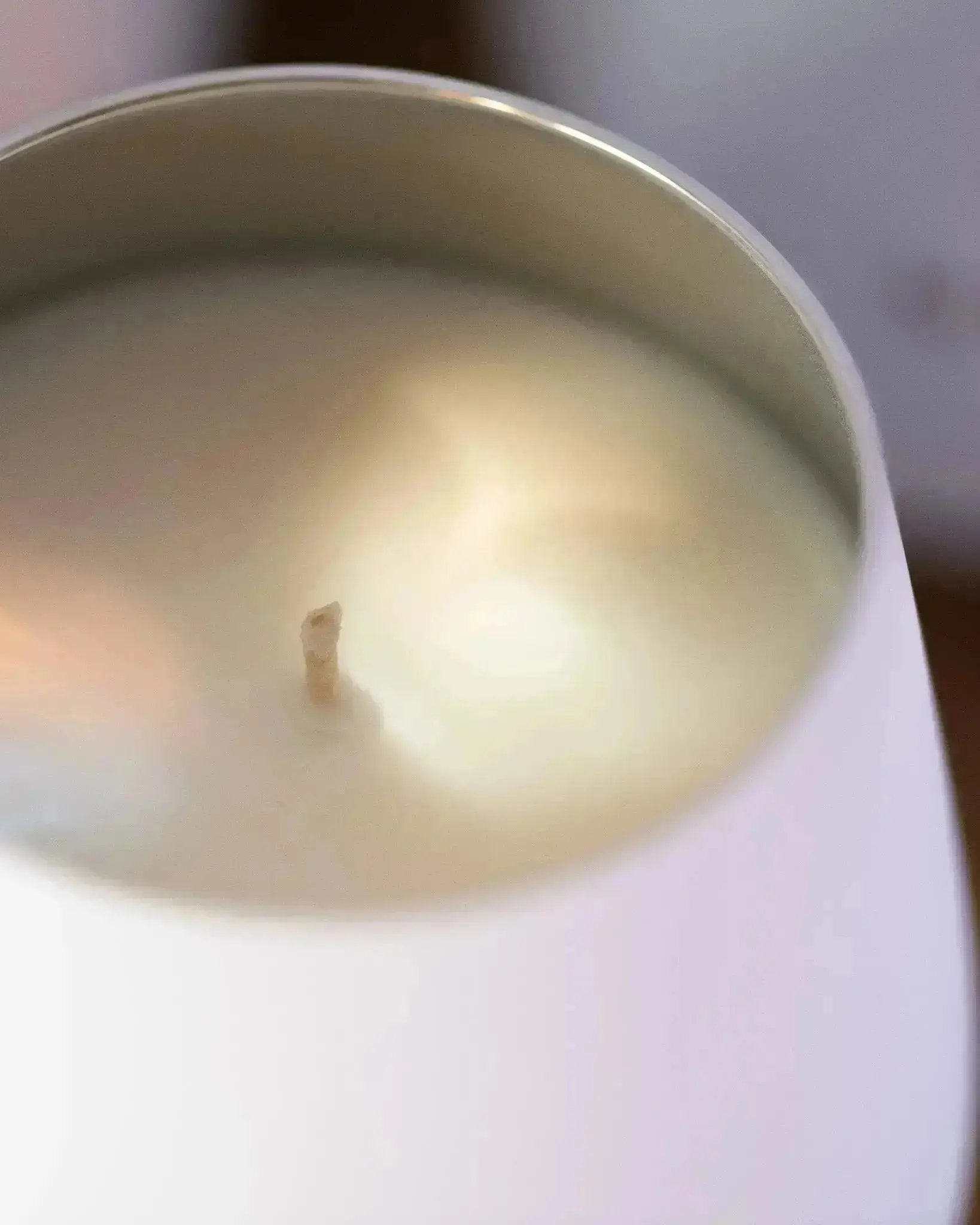 Bougie | Jardin de Nuit - Jideco Home