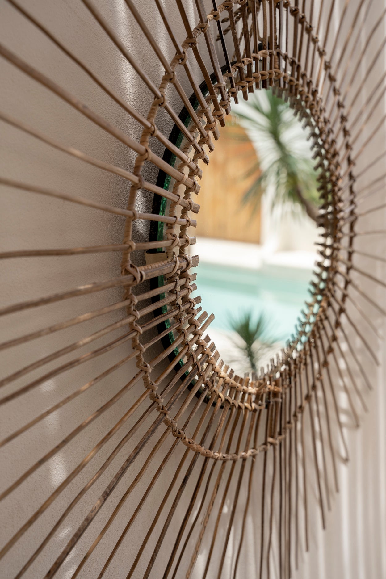 Mirror | Tropical