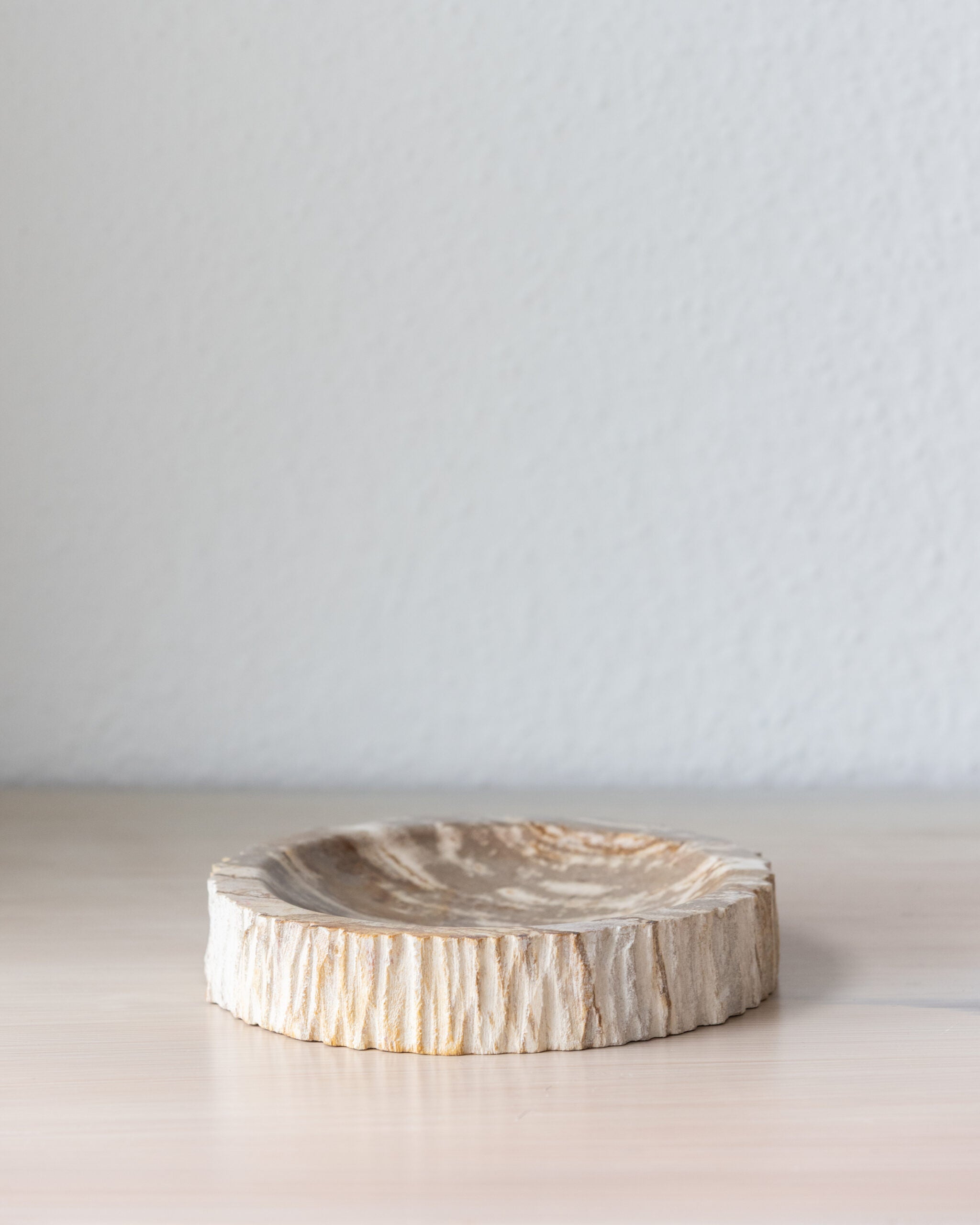 Empty Pocket | Petrified Wood