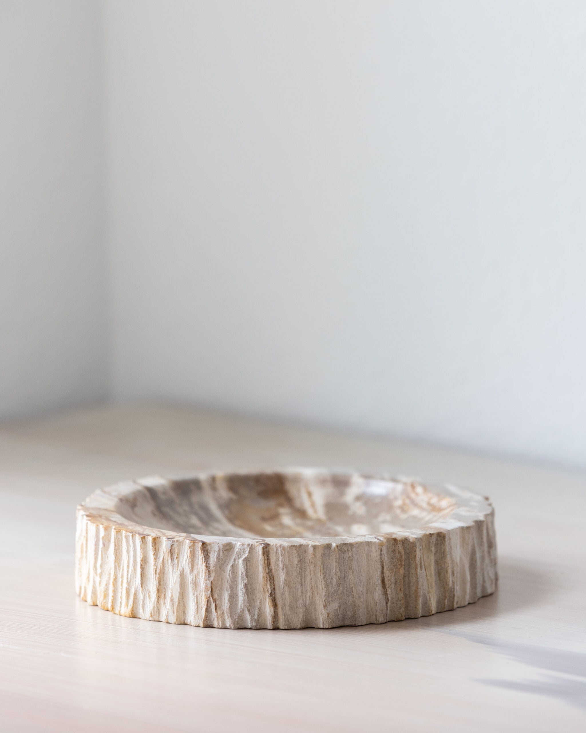 Empty Pocket | Petrified Wood