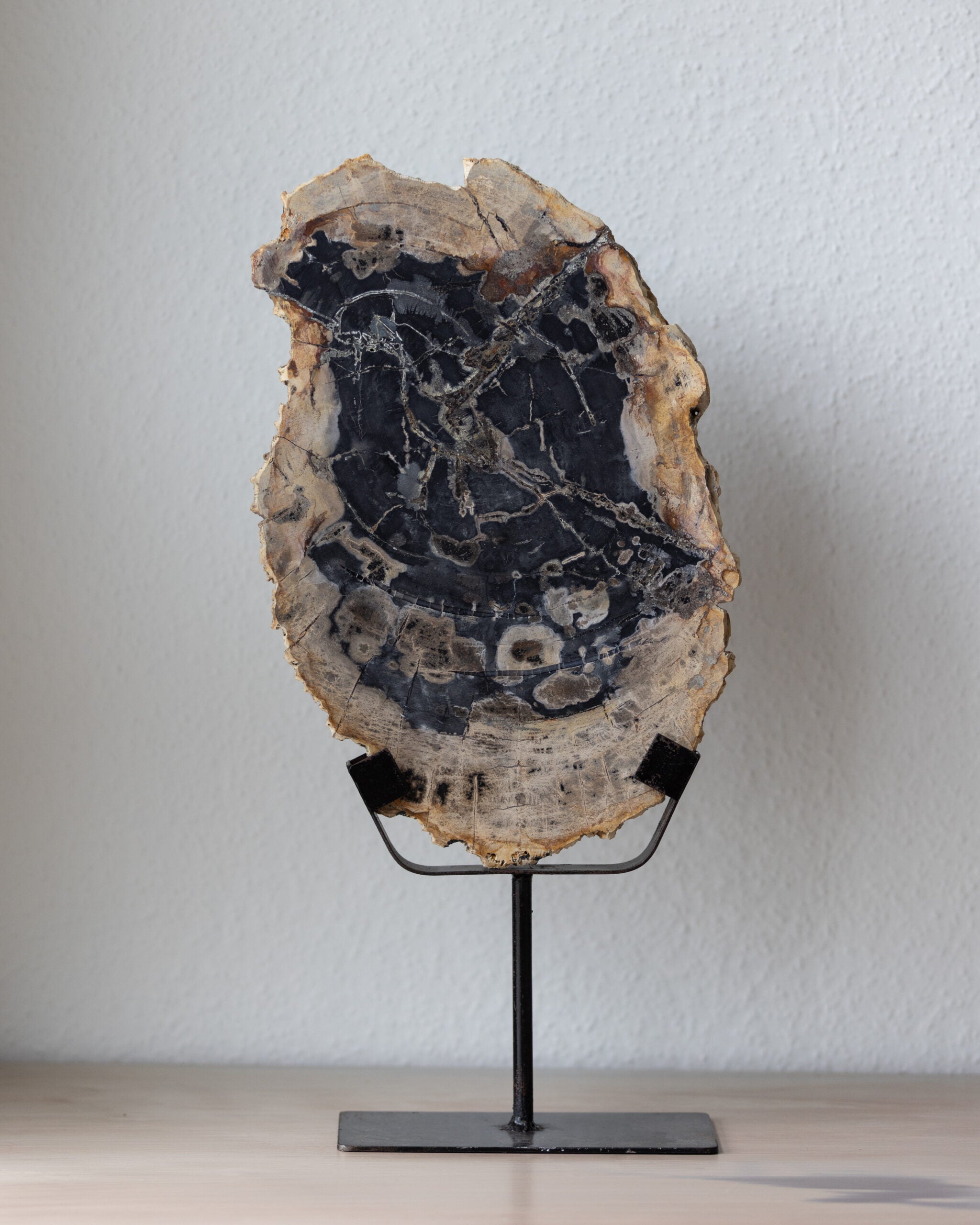 Sculpture | Petrified Wood - No. 01