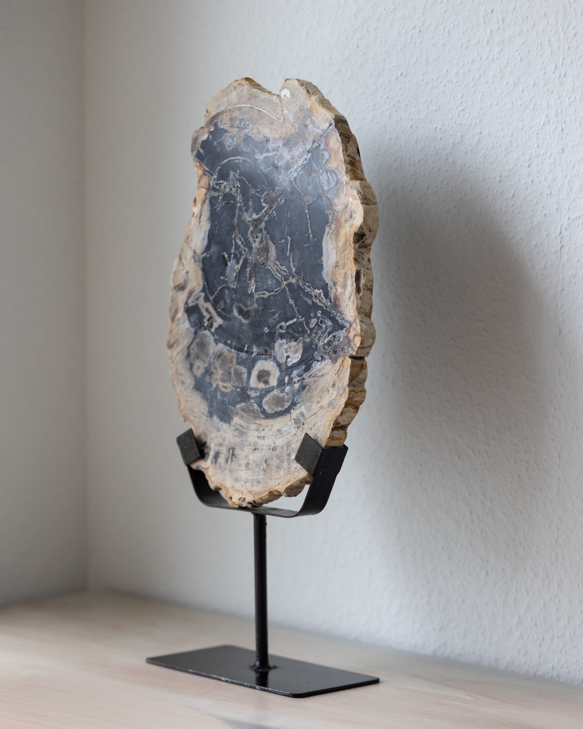 Sculpture | Petrified Wood - No. 01