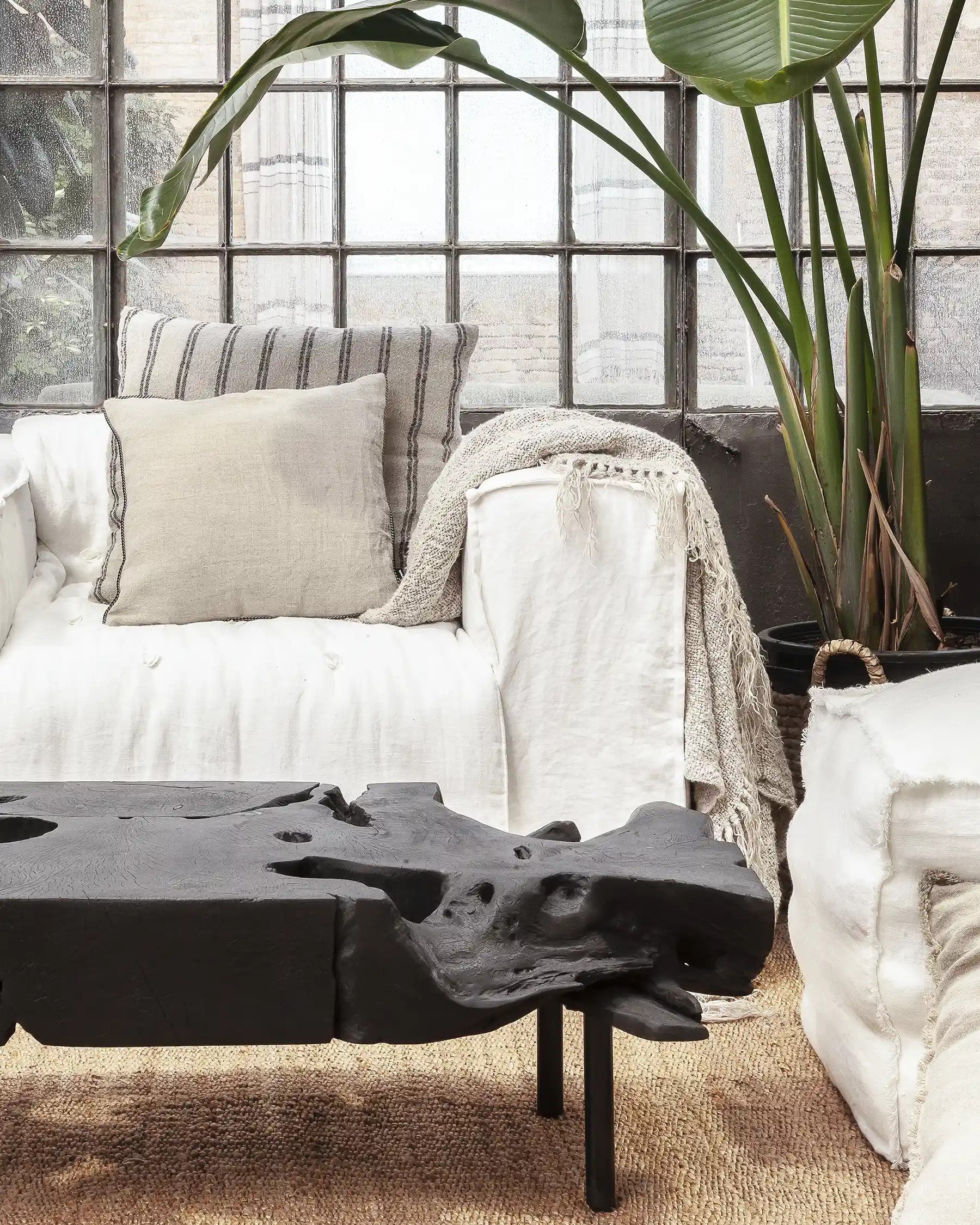 Table basse | Root