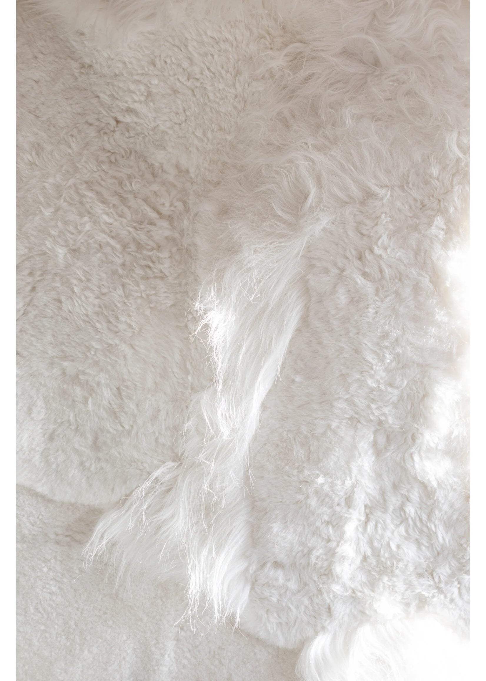 Sheep wool rug | Icelandic